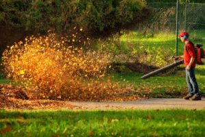 Cordless Leaf Blowers