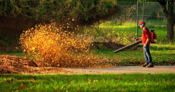 Cordless Leaf Blowers