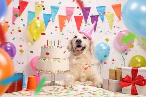 Birthday Party For Your Dog