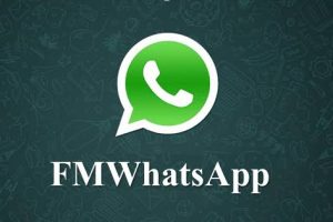 FMWhatsApp APK