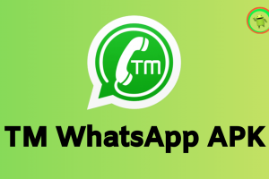 TM WhatsApp APK for Android (Review 2020)