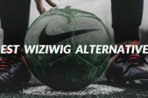 Wiziwig alternatives 2021