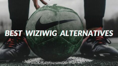 Wiziwig alternatives 2021