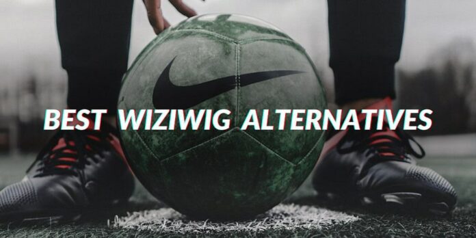 Wiziwig alternatives 2021