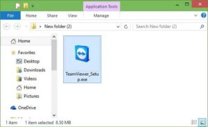 teamviewer online without installation