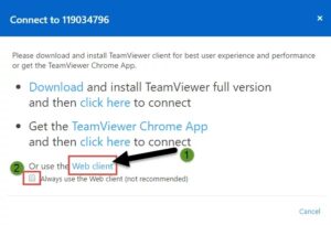 teamviewer online without installation