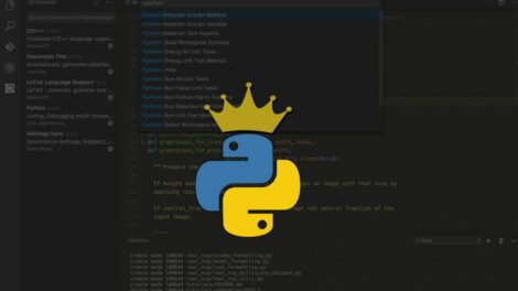 python alternatives