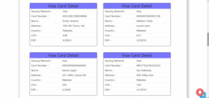 Credit card number generator