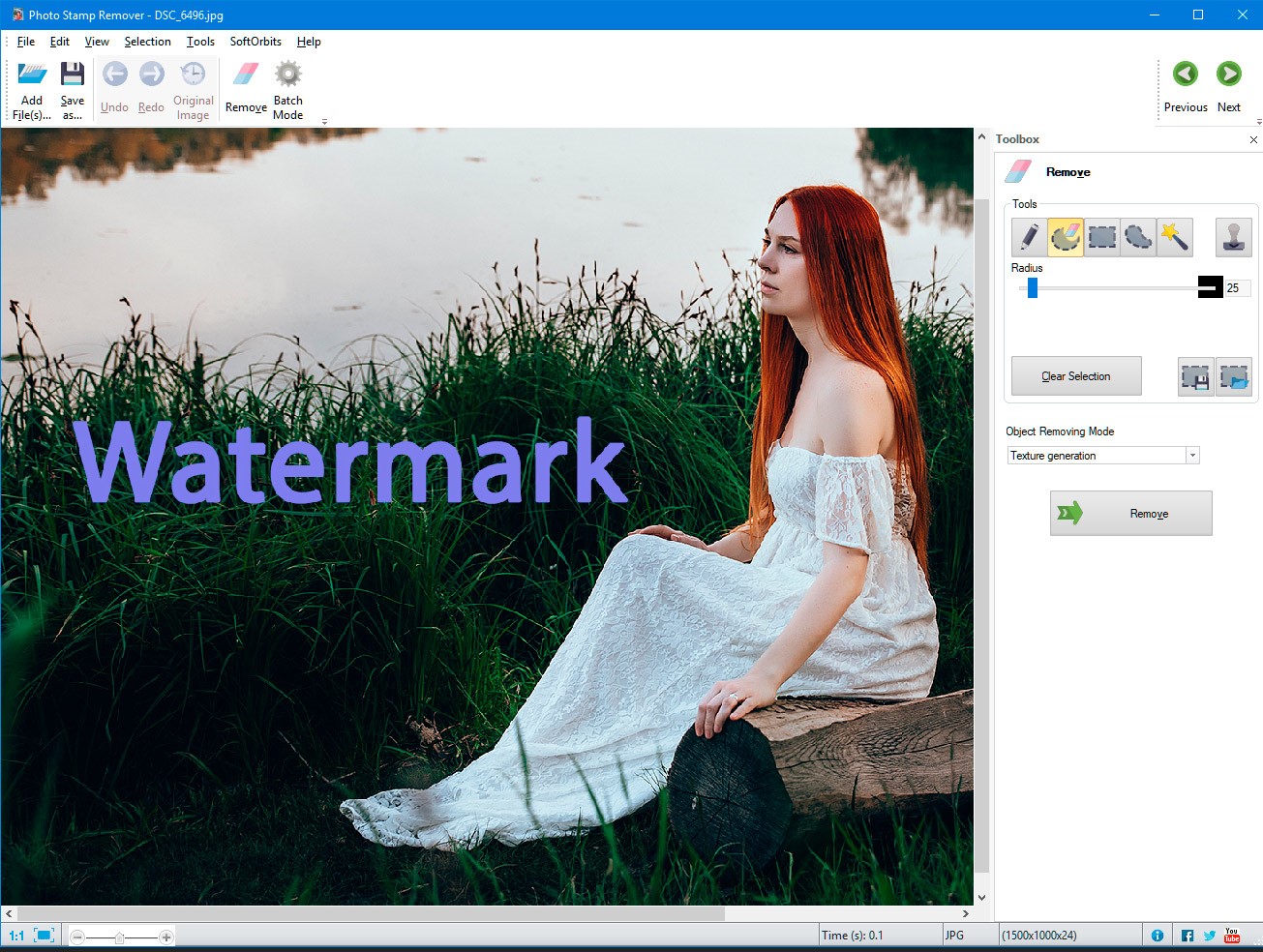 watermark remover