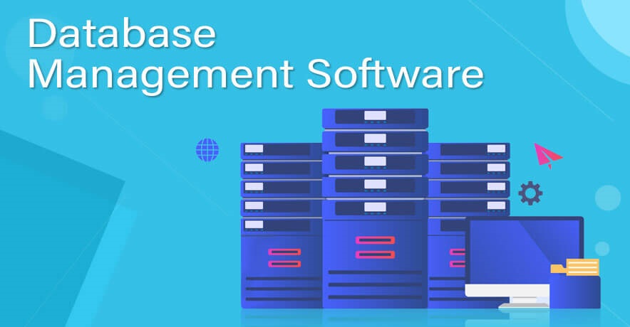 Database Management System Software