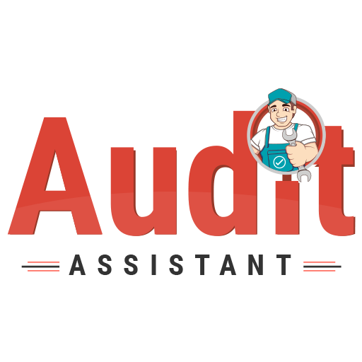 Audit assistance