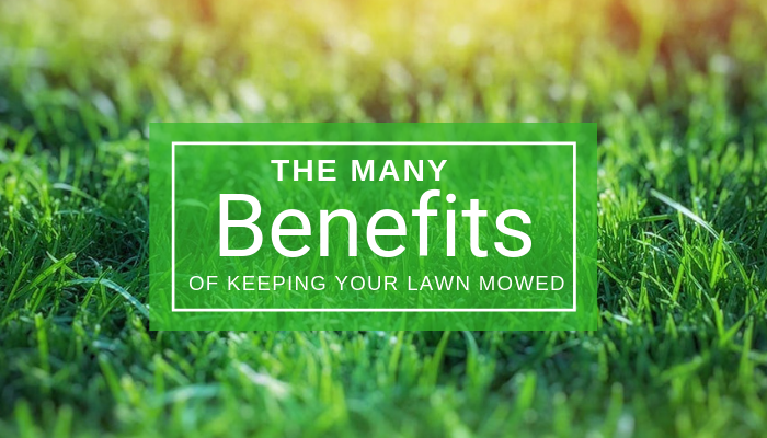 Health Benefits for your Lawn
