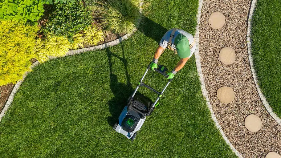 lawn service