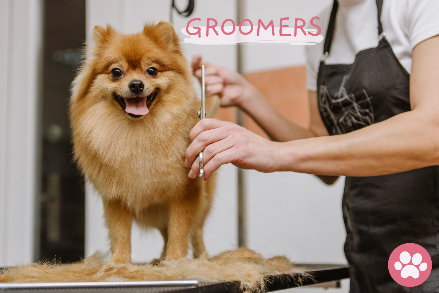 This is another benefit of pet grooming services.