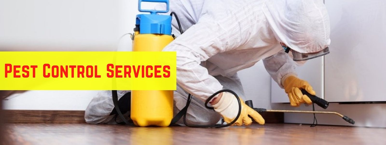 Pest Control Services