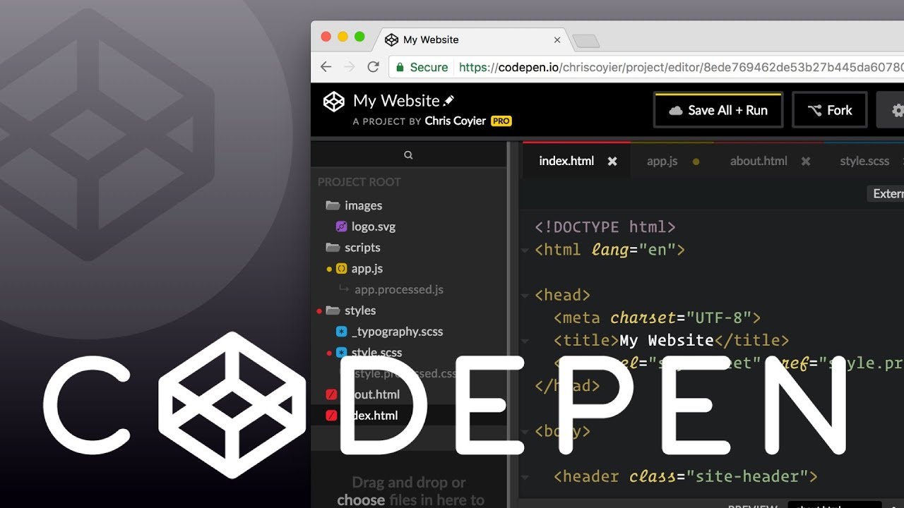 CodePen